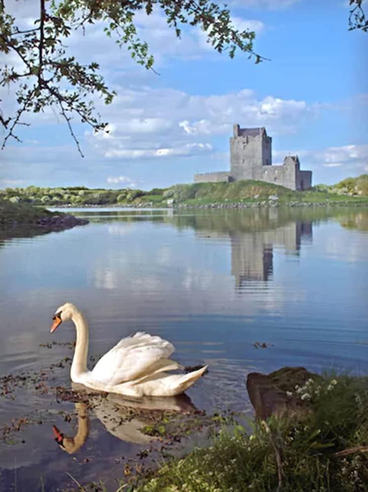 Merriman Hotel Kinvara Exteriér fotografie